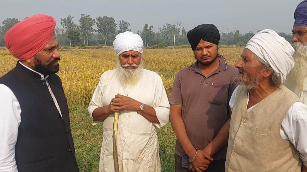 खरपतवार नाशकों का प्रयोग विशेषज्ञों की राय के अनुसार करना चाहिए: डॉ. जसविंदर सिंह